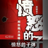 （愤怒的子弹）有声小说